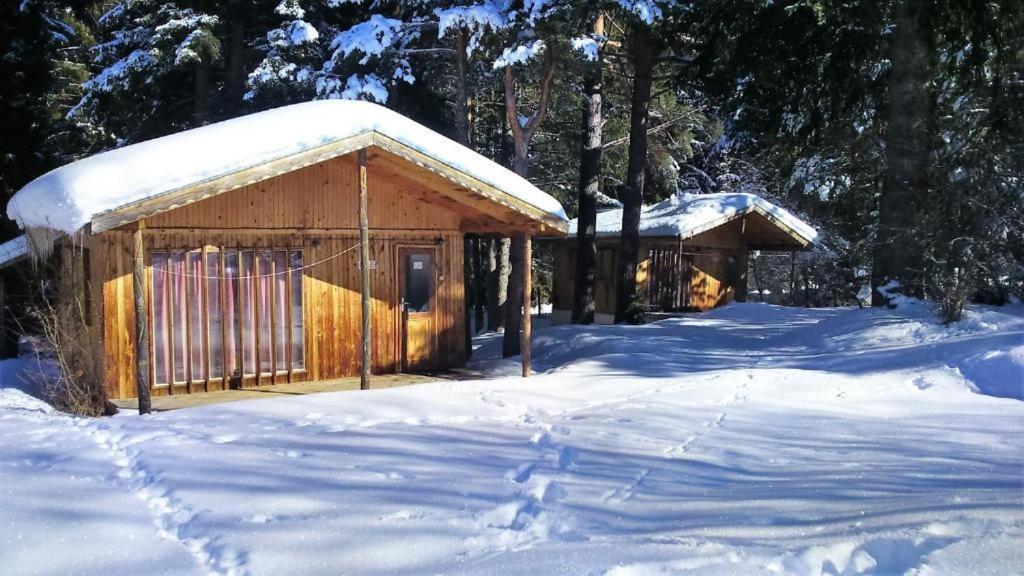 Бунгала Ски Писта Говедарци Exterior foto