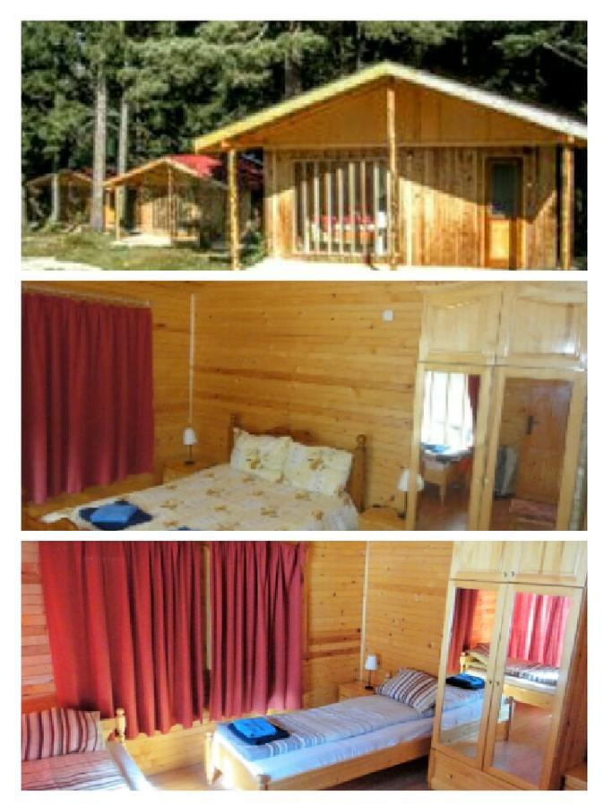 Бунгала Ски Писта Говедарци Exterior foto